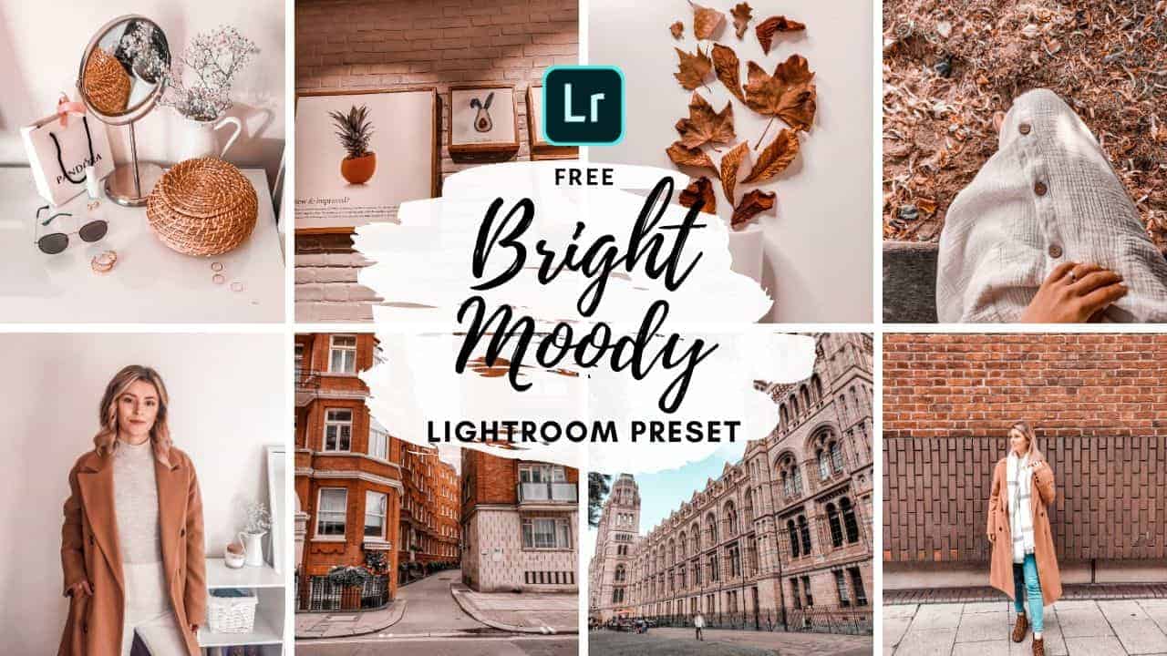 Free Lightroom Preset Bright Moody