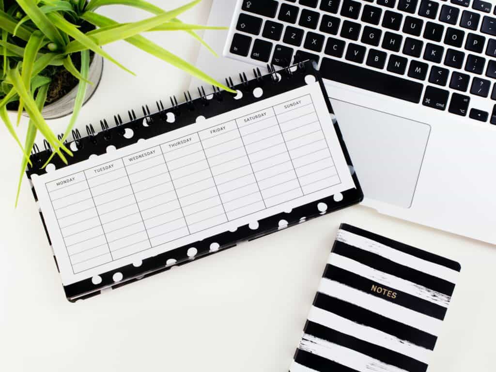 Daily to do list for content creators