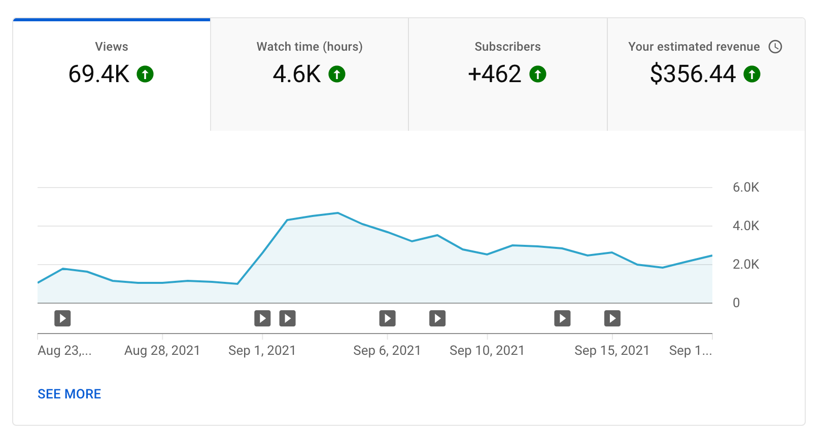 How Much I Make as a Small YouTuber with 13000 Subscribers