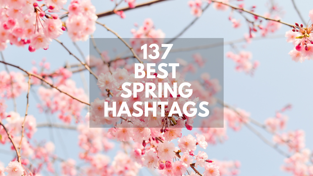 137 Best Spring Hashtags For Instagram In 2025