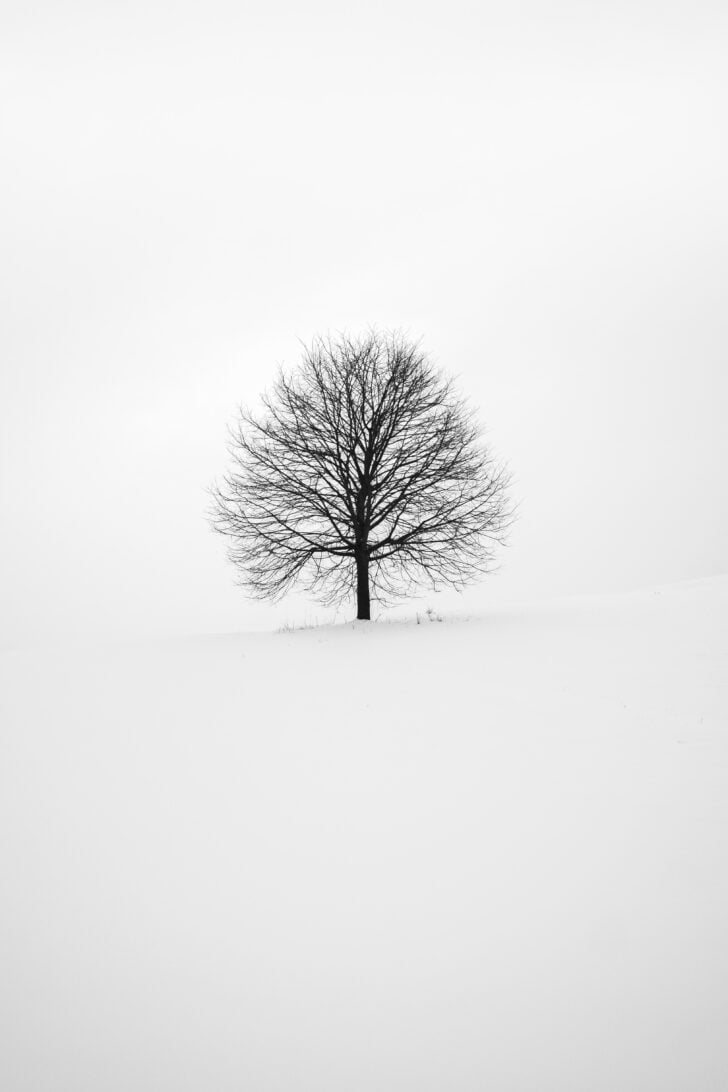Winter Wallpapers for iPhone