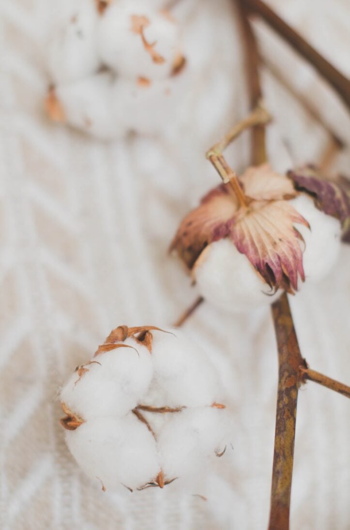 Cotton winter wallpaper for iPhone